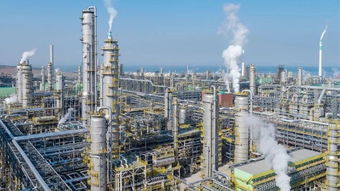 恒力炼化一体化项目PX产品实现直供投用，数字文化创意软件赋能产业新生态