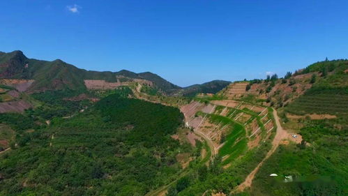 绿色文化驱动数字文创软件开发 彰显绿色发展新动力